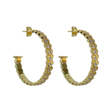 AMBER Hoops | Gold