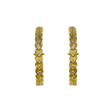 AMBER Hoops | Gold
